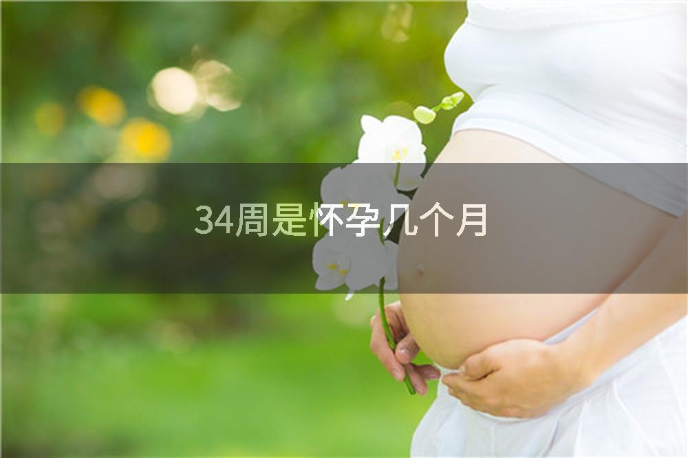 34周是怀孕几个月