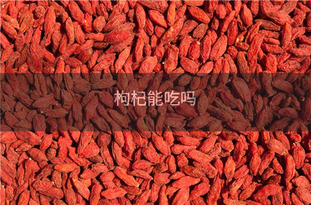 枸杞能吃吗