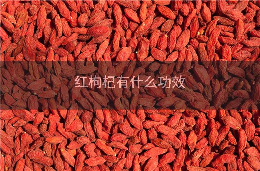 红枸杞有什么功效