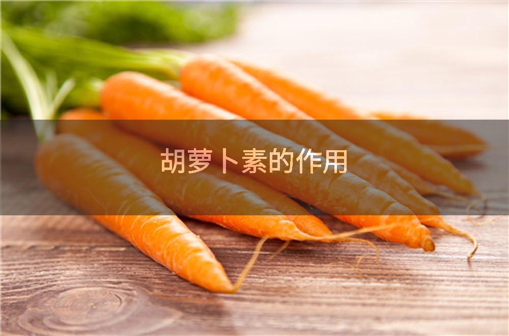 胡萝卜素的作用