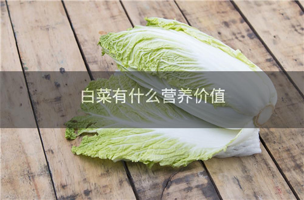 白菜有什么营养价值