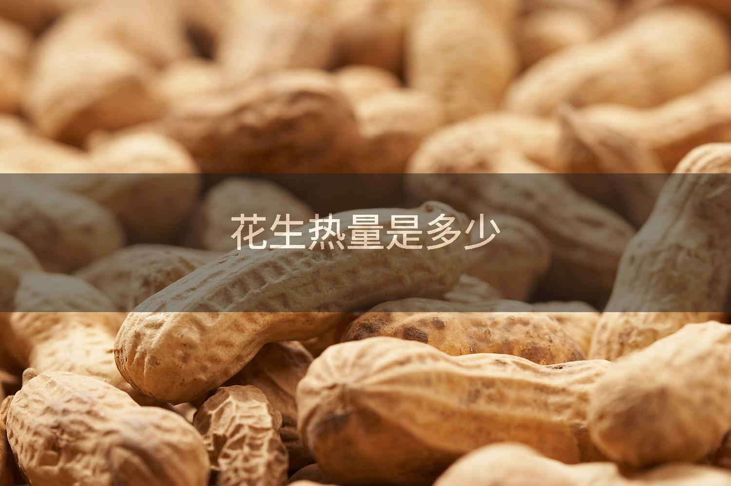 花生热量是多少