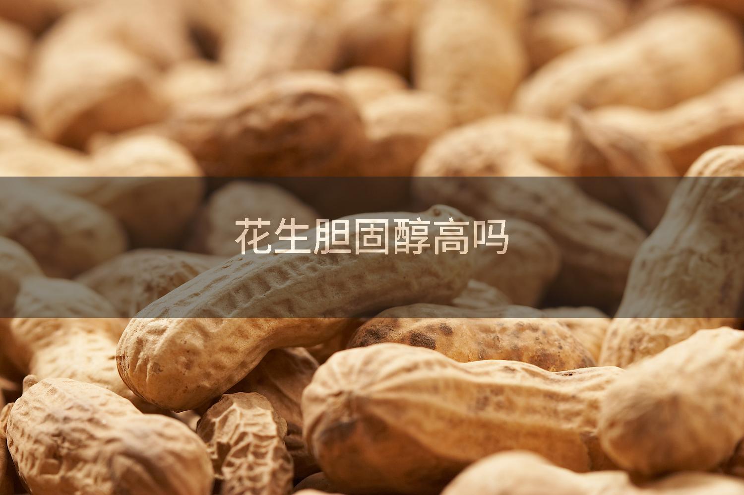 花生胆固醇高吗