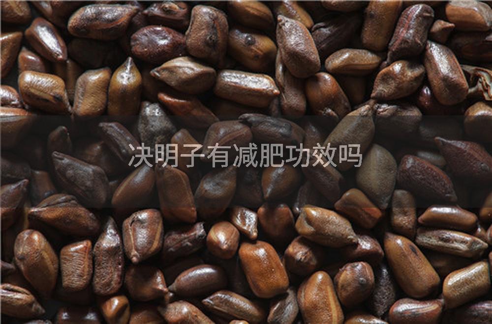 决明子有减肥功效吗
