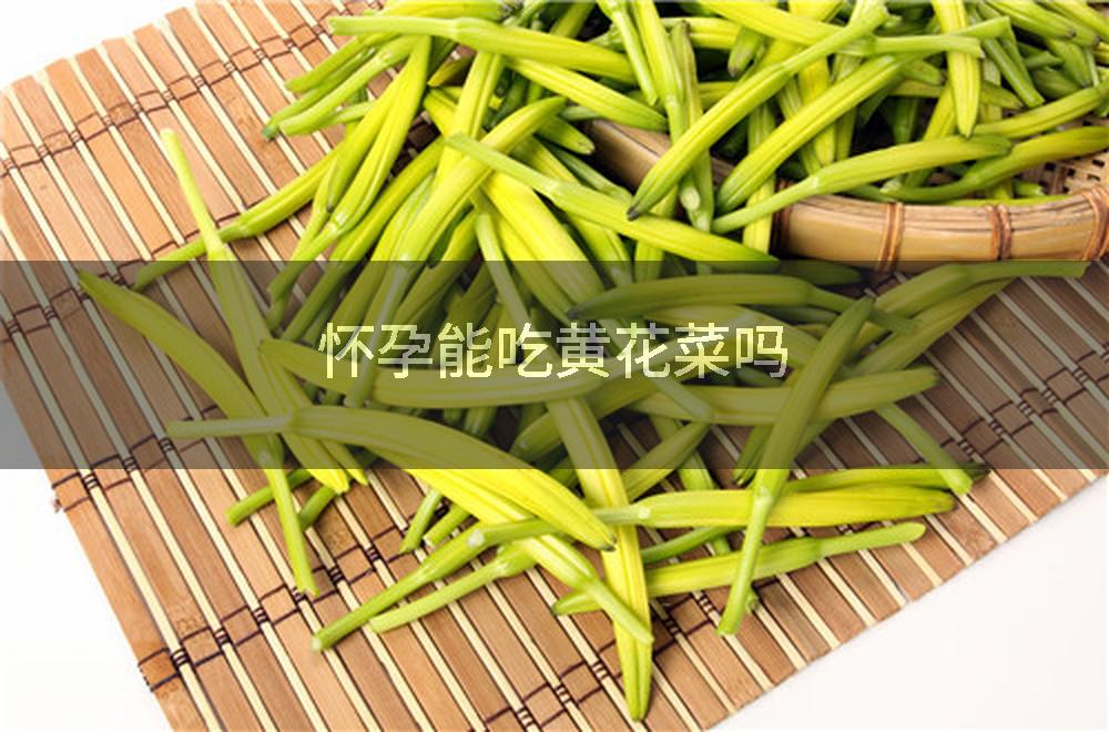 怀孕能吃黄花菜吗