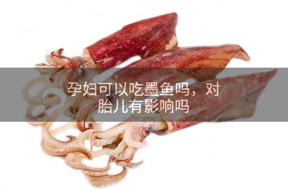 孕妇可以吃墨鱼吗，对胎儿有影响吗