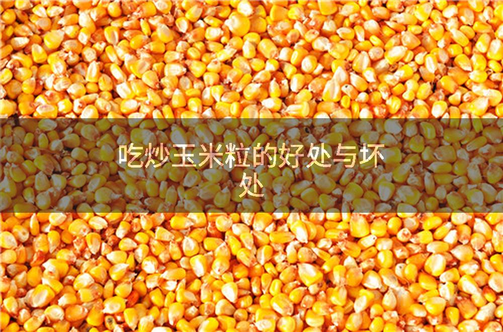 吃炒玉米粒的好处与坏处