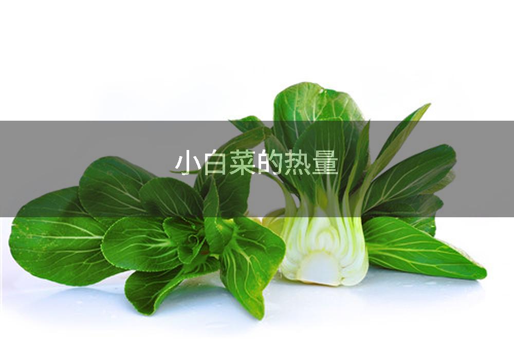 小白菜的热量