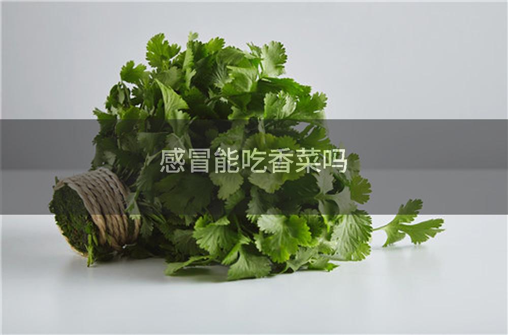 感冒能吃香菜吗