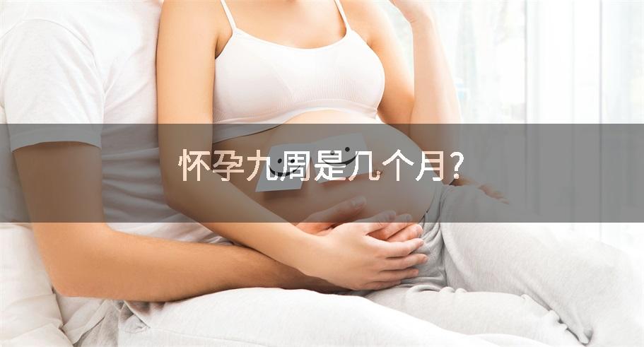 怀孕九周是几个月?