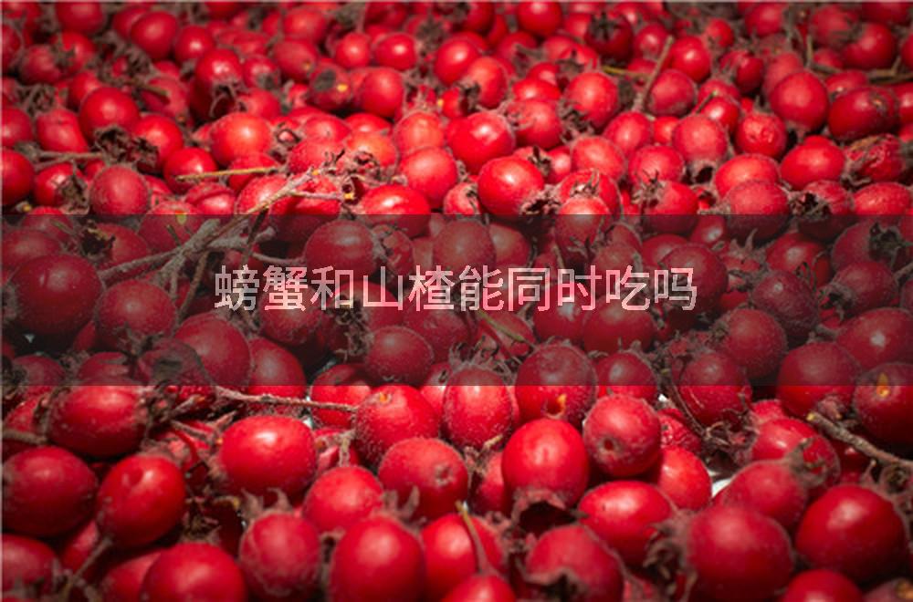 螃蟹和山楂能同时吃吗
