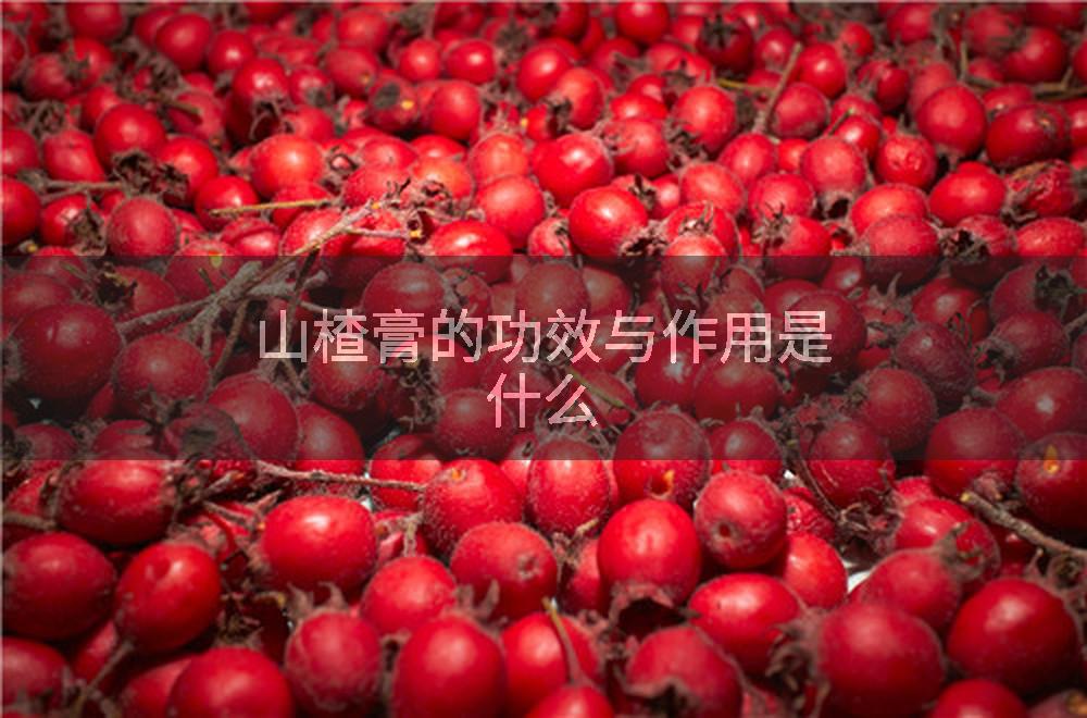 山楂膏的功效与作用是什么