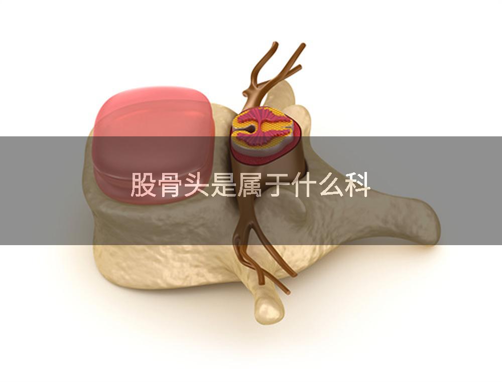 股骨头是属于什么科