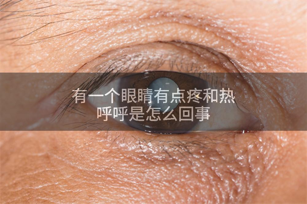 有一个眼睛有点疼和热呼呼是怎么回事