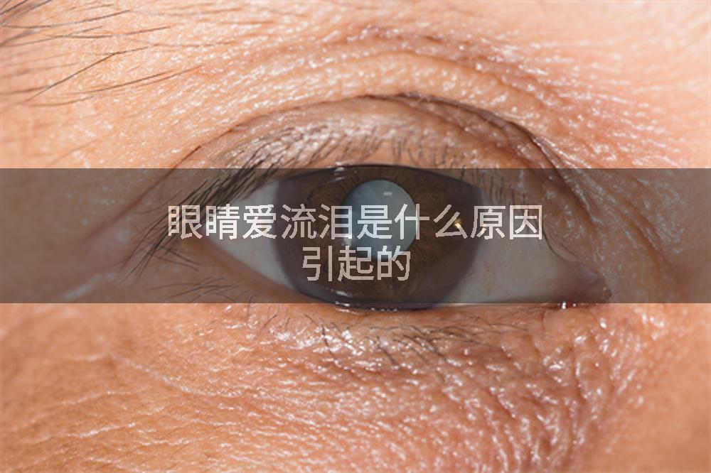 眼睛爱流泪是什么原因引起的