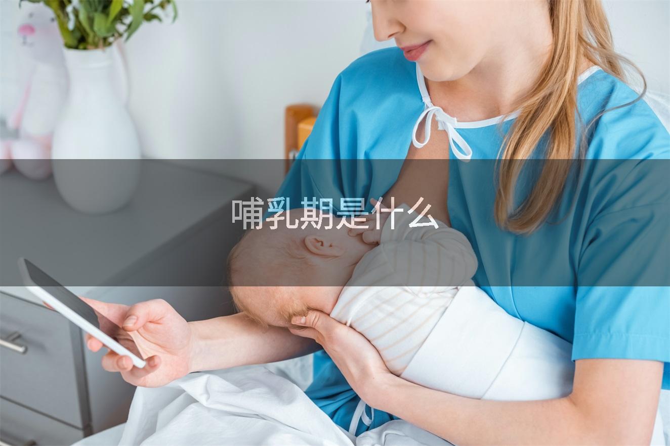 哺乳期是什么
