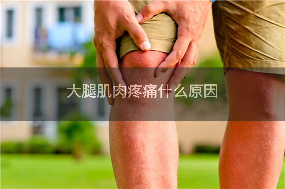 大腿肌肉疼痛什么原因