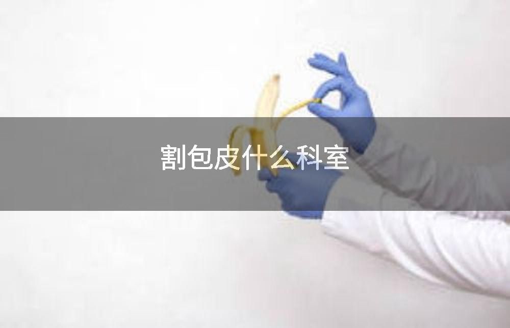 割包皮什么科室