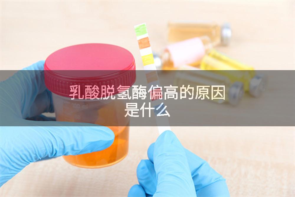 乳酸脱氢酶偏高的原因是什么