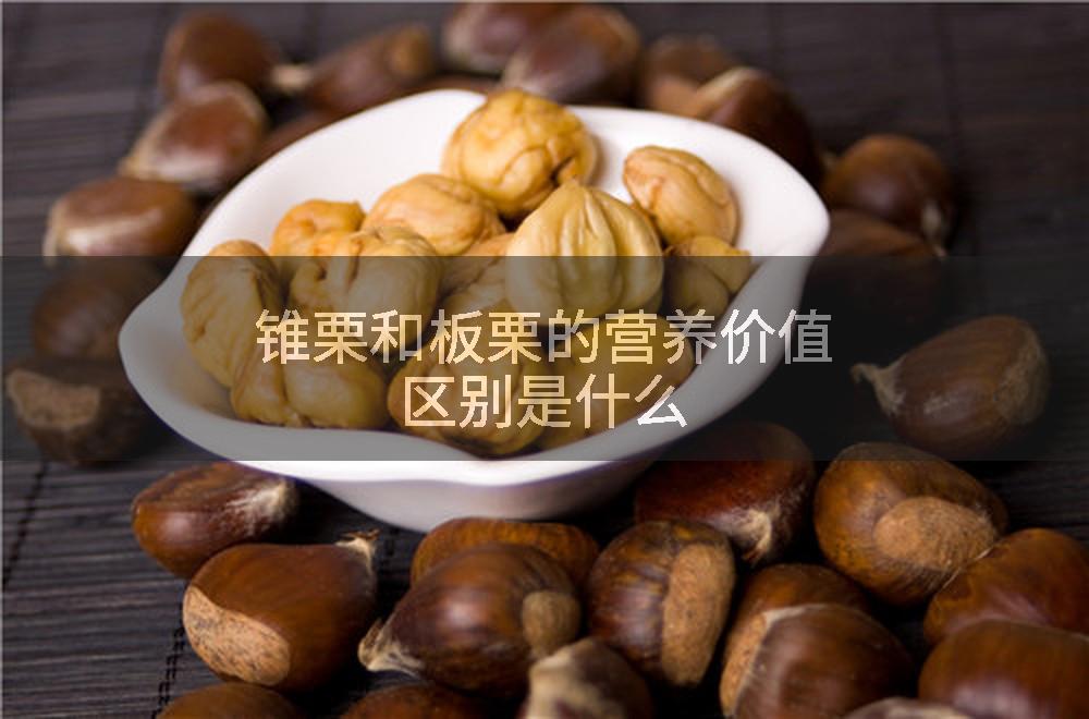 锥栗和板栗的营养价值区别是什么