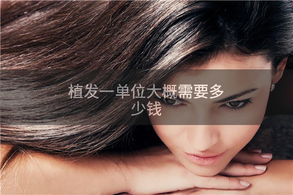 植发一单位大概需要多少钱