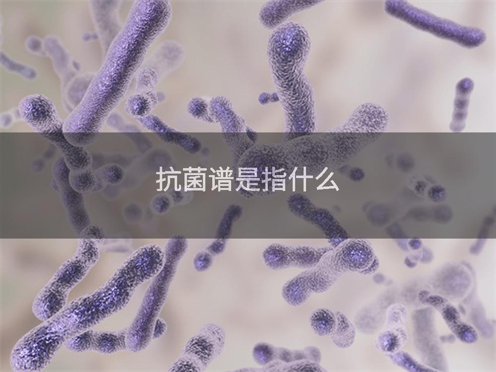 抗菌谱是指什么