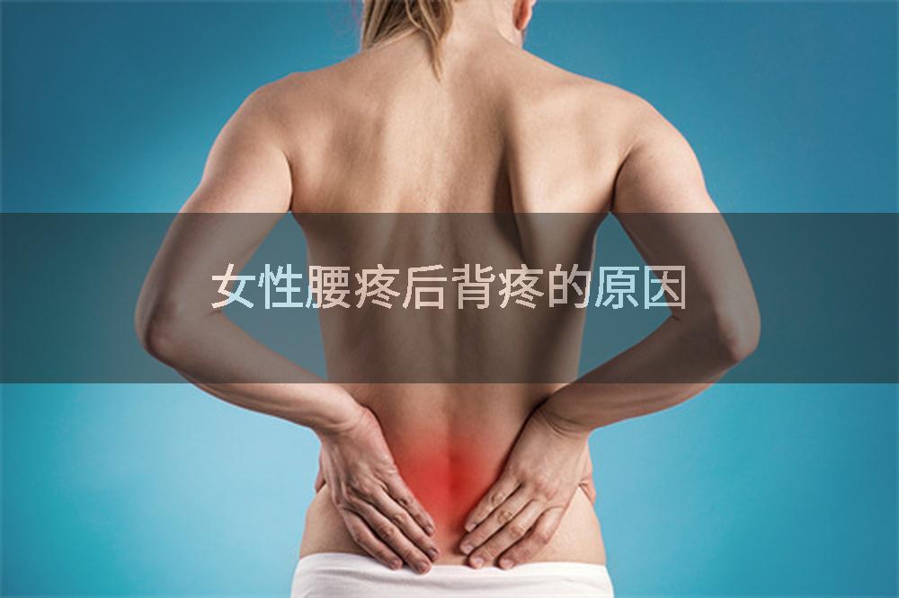 女性腰疼后背疼的原因