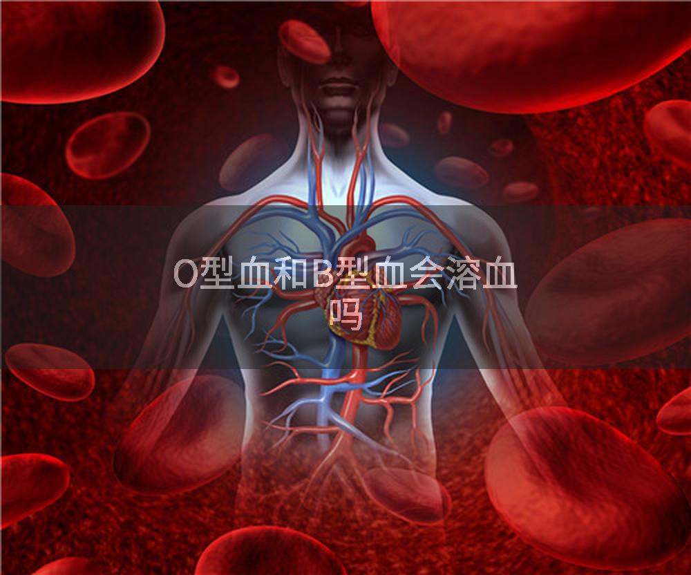 O型血和B型血会溶血吗