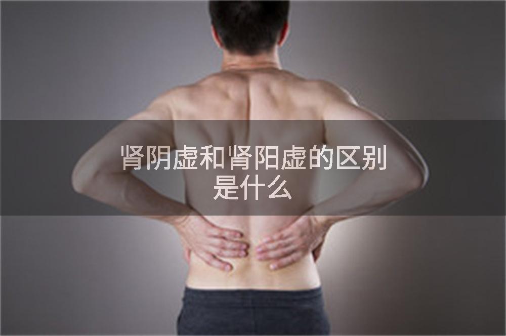 肾阴虚和肾阳虚的区别是什么