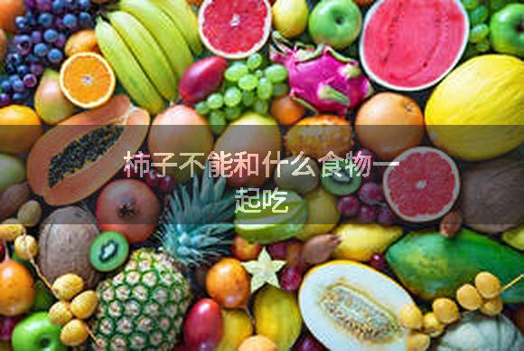 柿子不能和什么食物一起吃