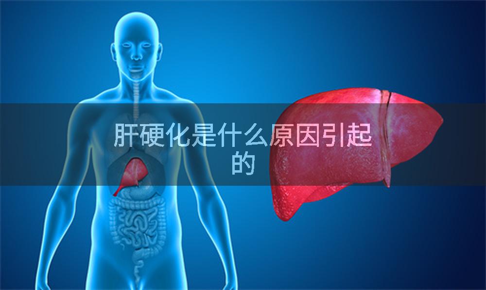 肝硬化是什么原因引起的