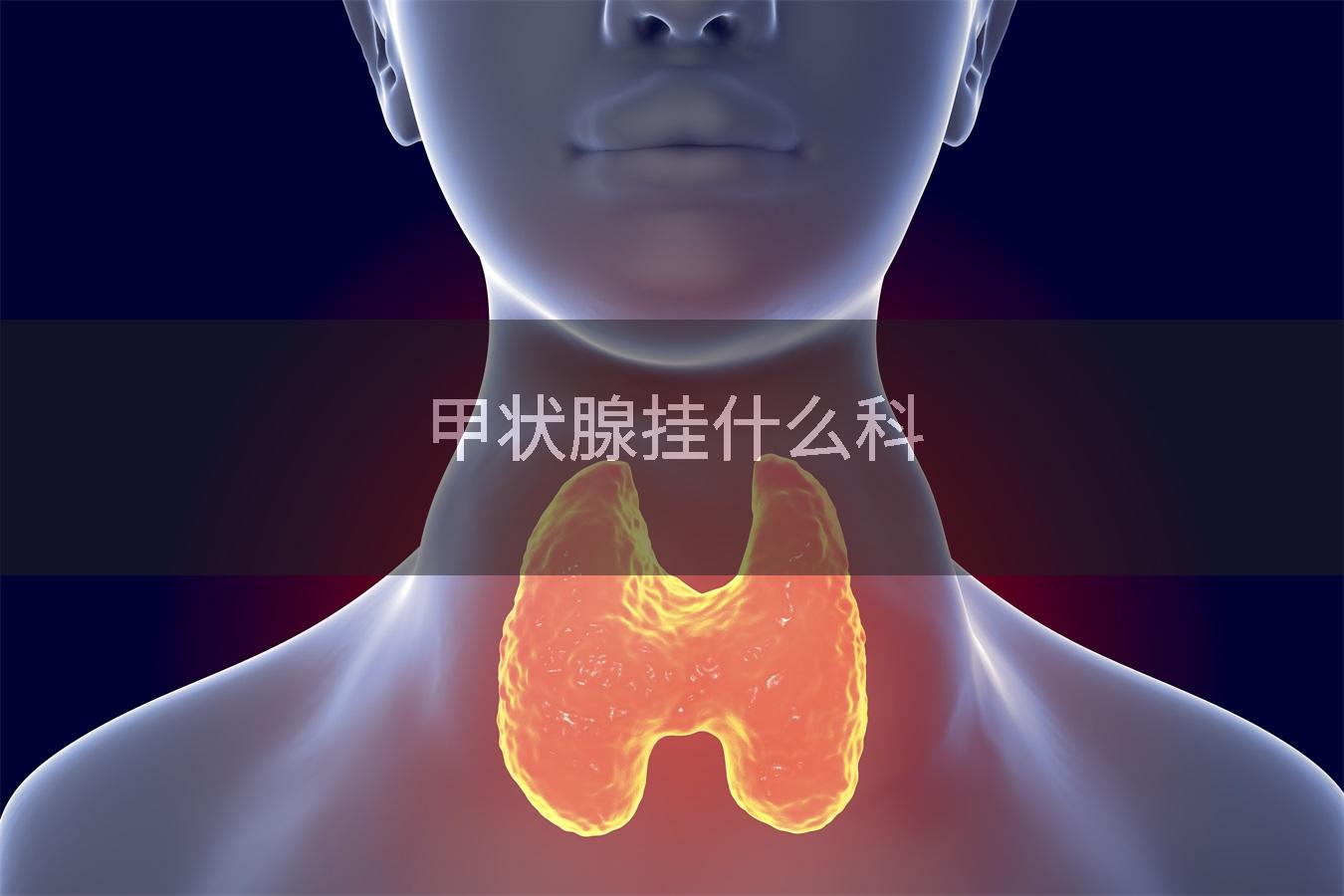 甲状腺挂什么科