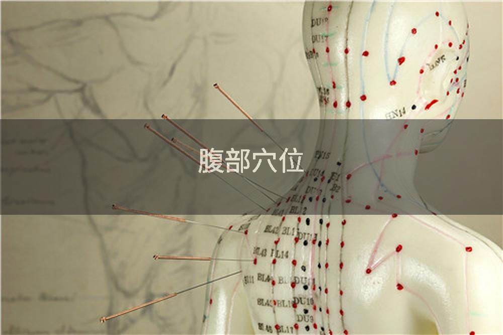 腹部穴位