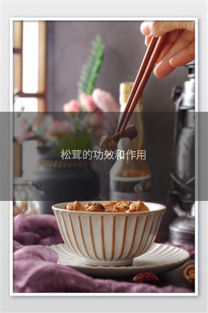 松茸的功效和作用