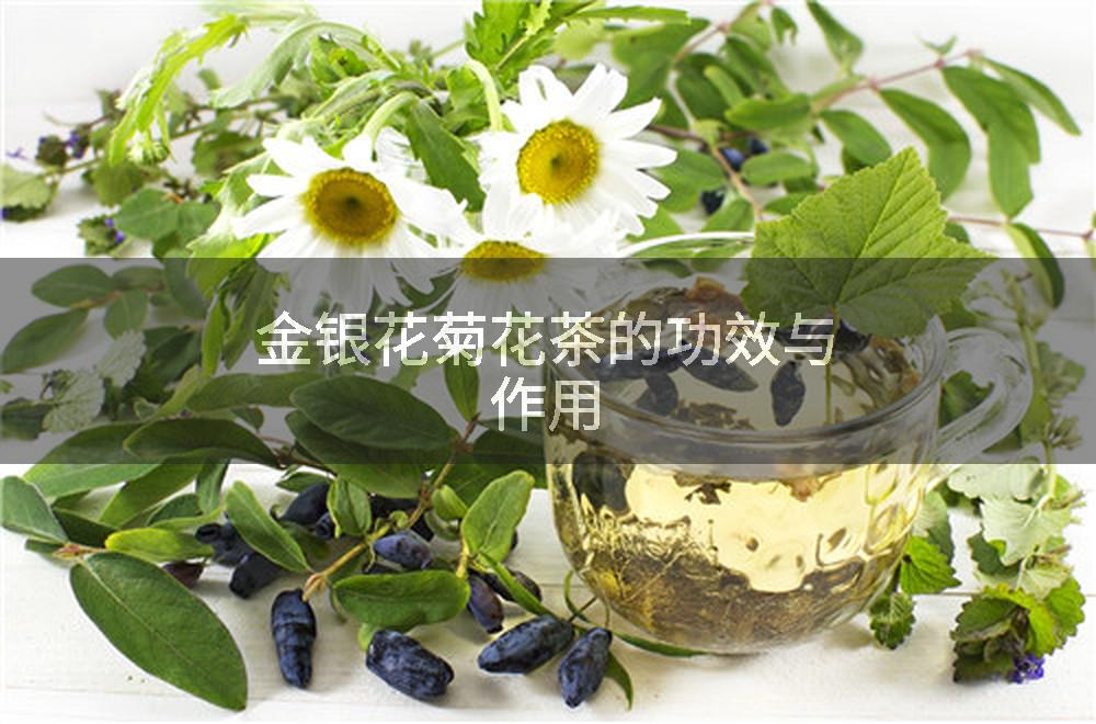 金银花菊花茶的功效与作用