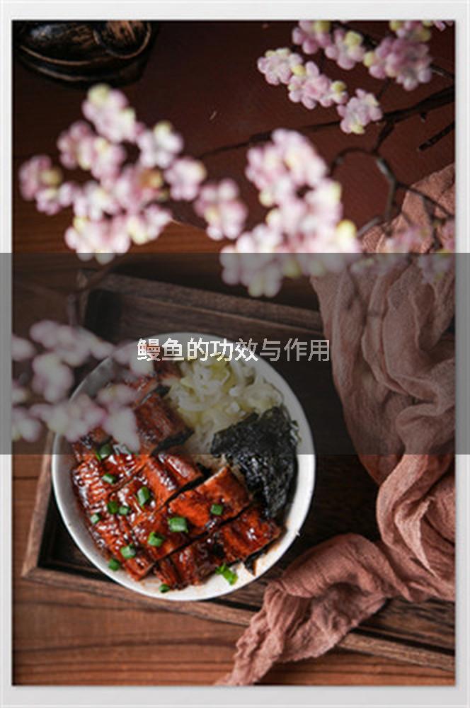 鳗鱼的功效与作用