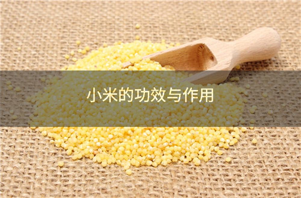 小米的功效与作用
