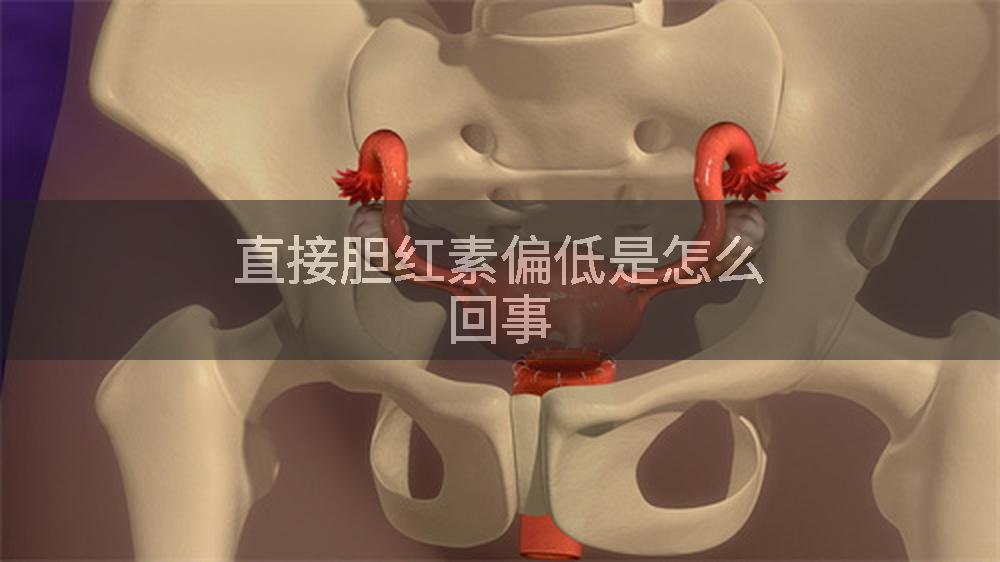 直接胆红素偏低是怎么回事