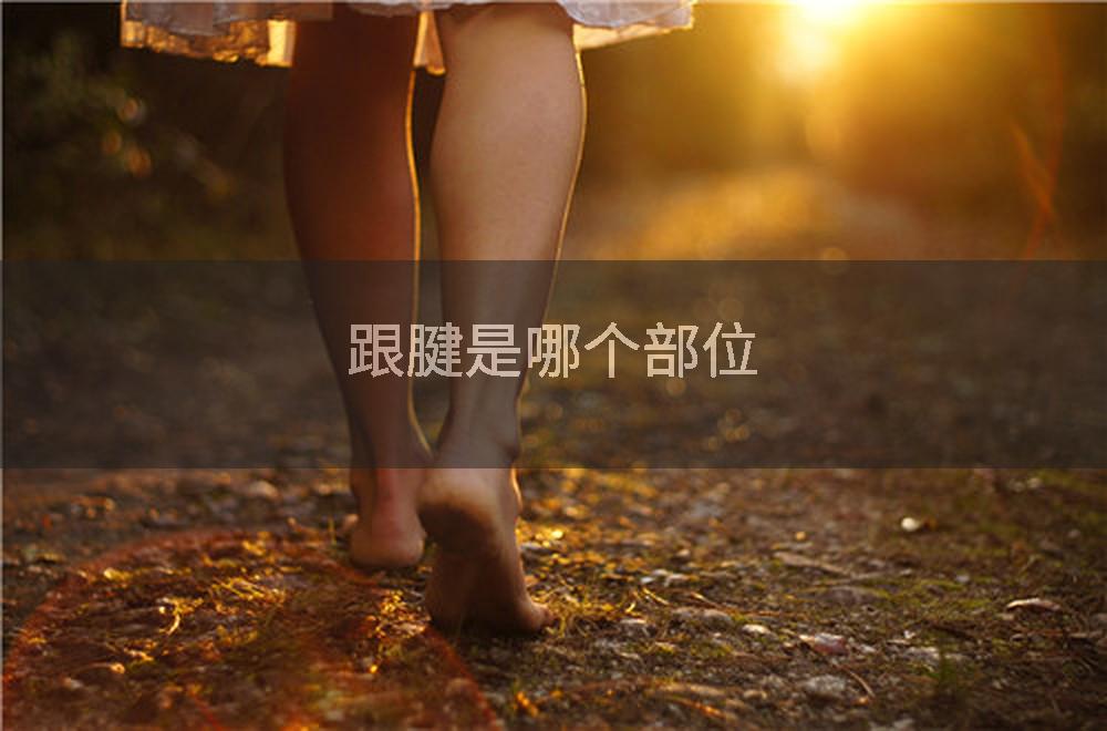 跟腱是哪个部位