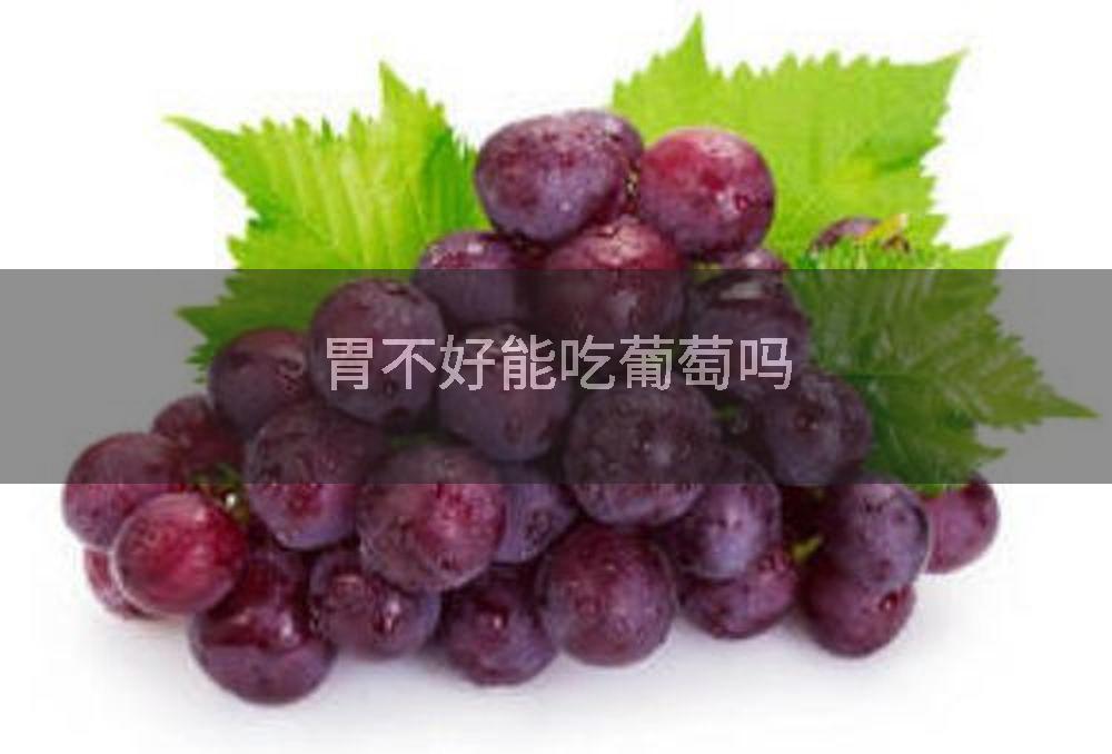 胃不好能吃葡萄吗