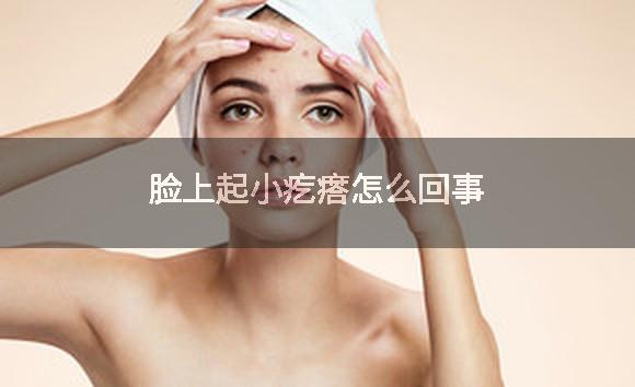 脸上起小疙瘩怎么回事