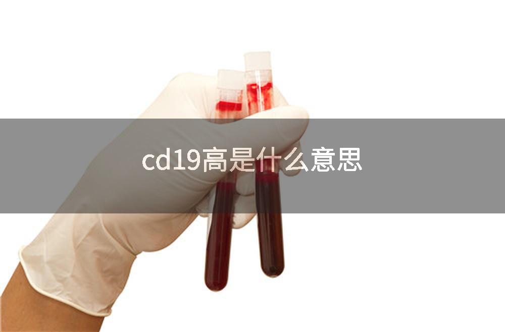 cd19高是什么意思