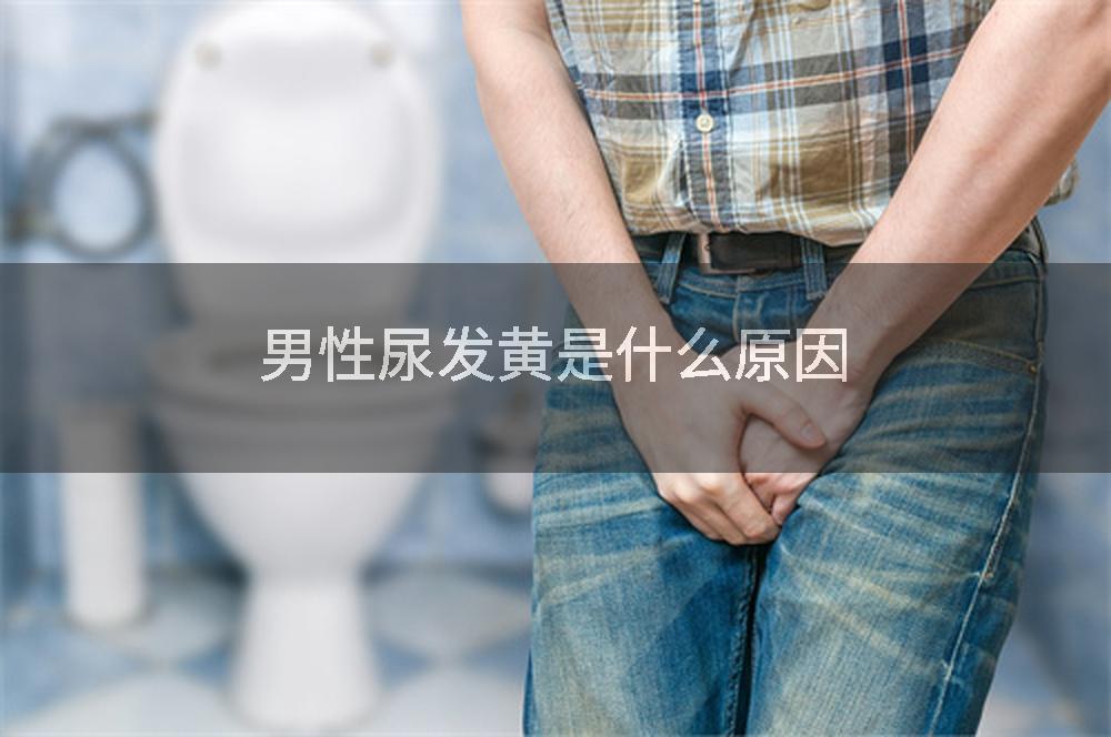 男性尿发黄是什么原因