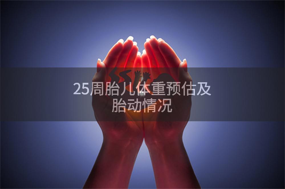 25周胎儿体重预估及胎动情况