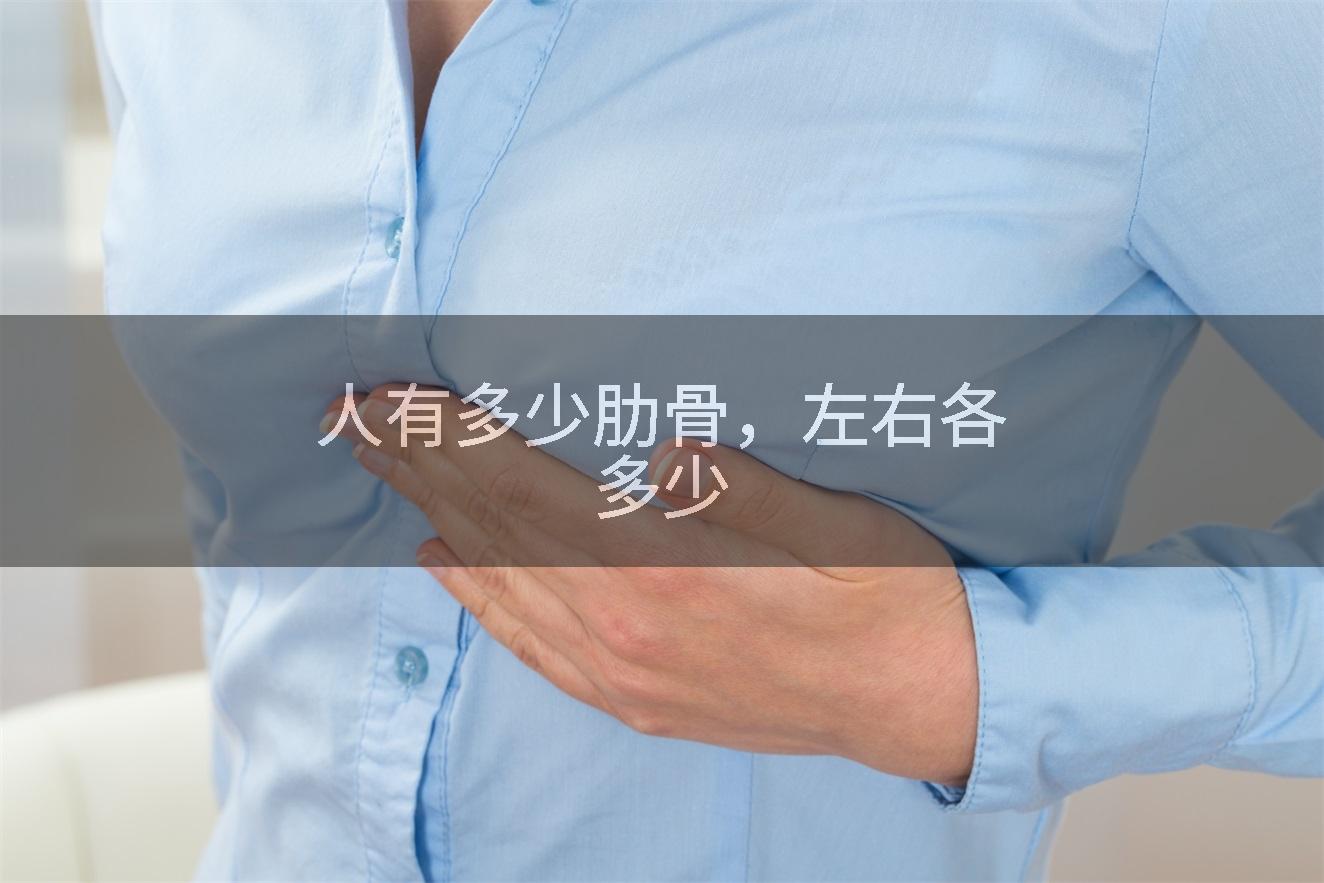 人有多少肋骨，左右各多少
