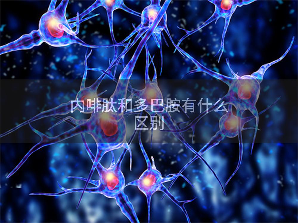 内啡肽和多巴胺有什么区别