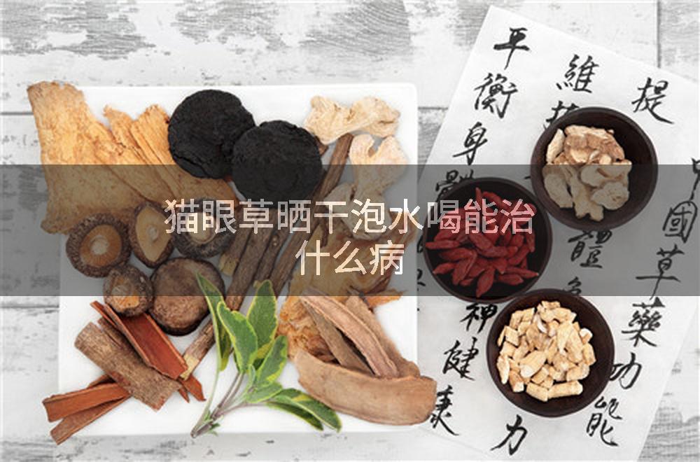 猫眼草晒干泡水喝能治什么病