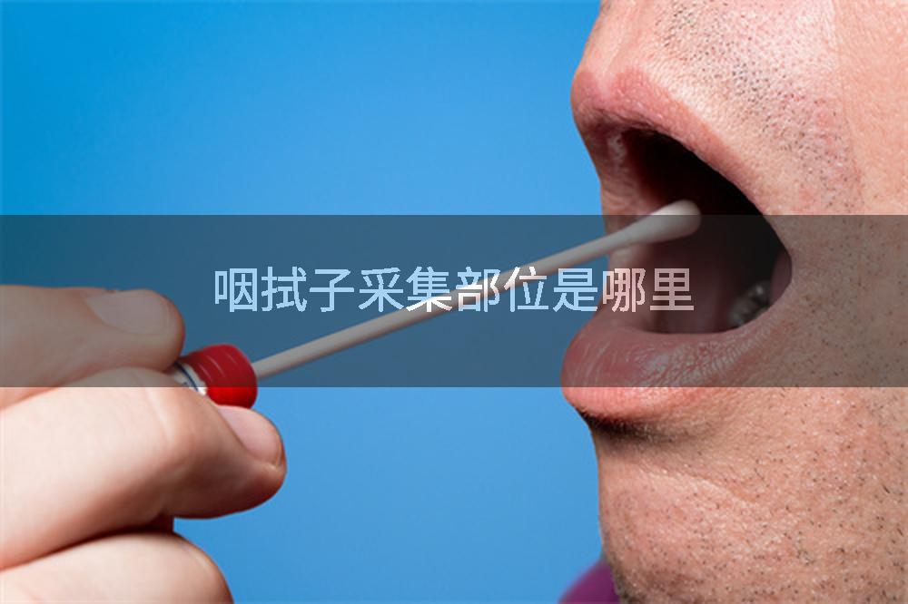 咽拭子采集部位是哪里