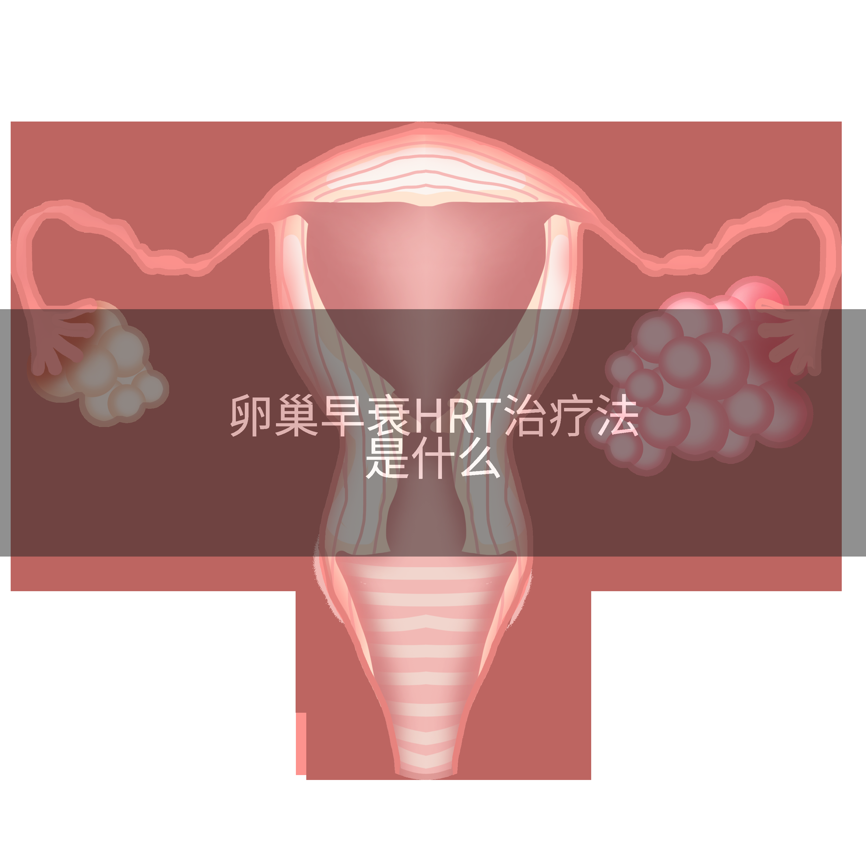 卵巢早衰HRT治疗法是什么