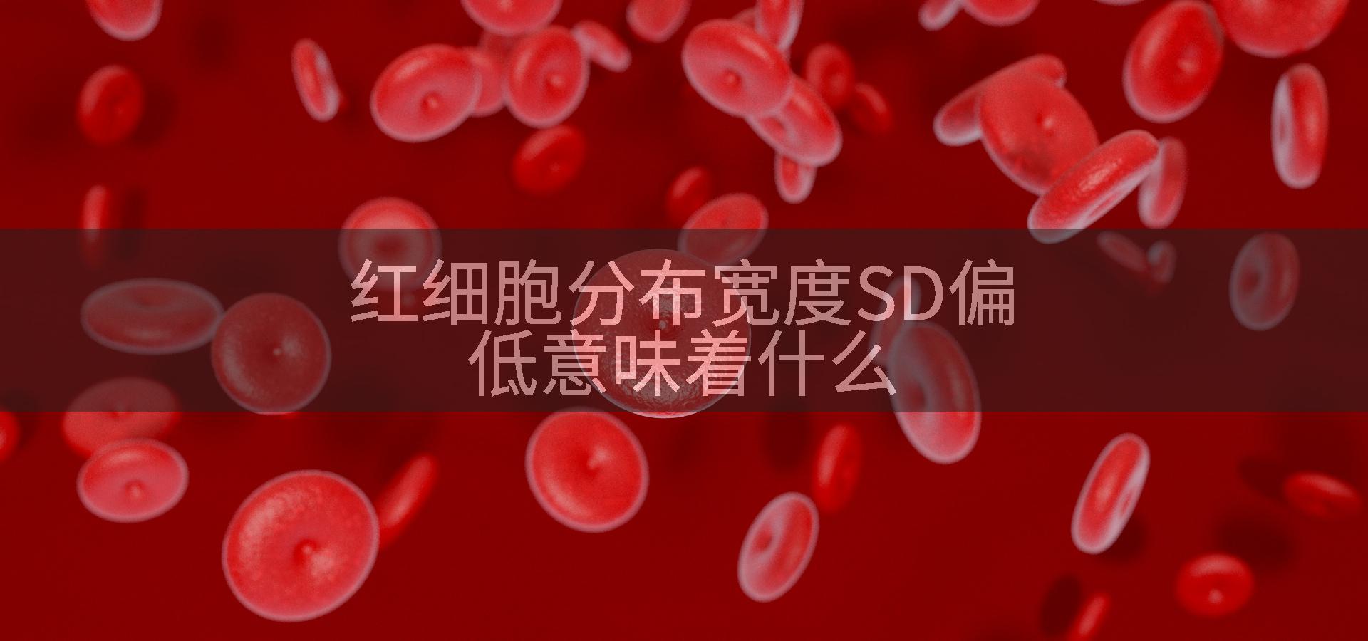 红细胞分布宽度SD偏低意味着什么